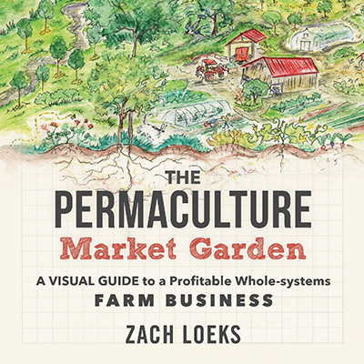 Transitioning to a permaculture market garden, part one